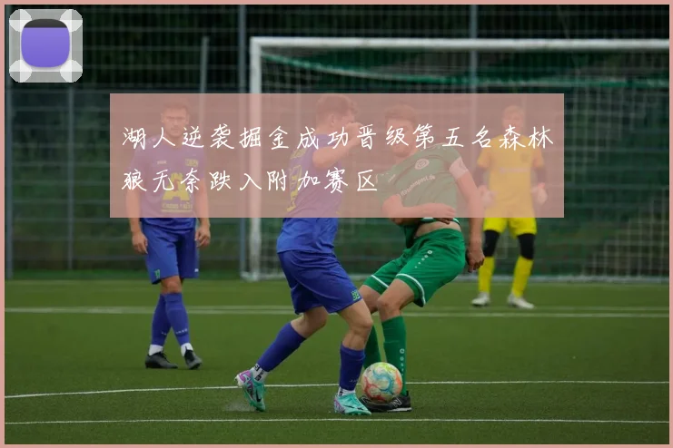 湖人逆袭掘金成功晋级第五名森林狼无奈跌入附加赛区
