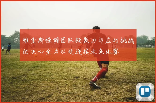 维金斯强调团队凝聚力与应对挑战的决心全力以赴迎接未来比赛