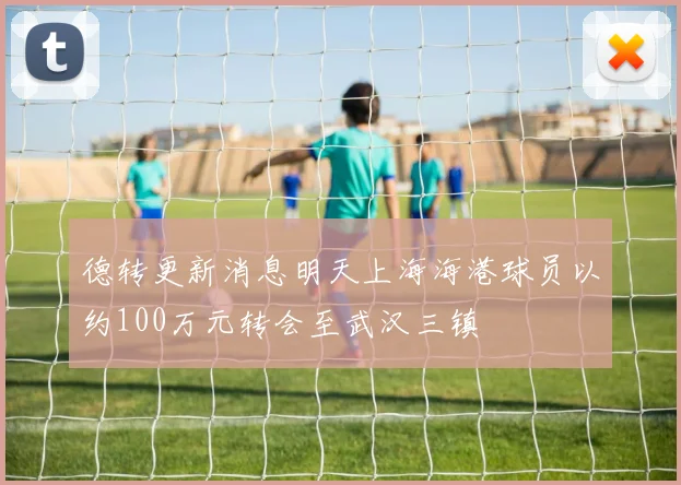 德转更新消息明天上海海港球员以约100万元转会至武汉三镇