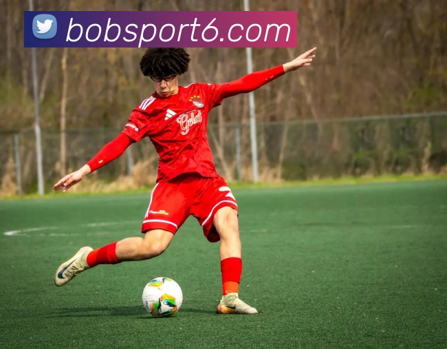 BOB体育APP 高清赛事图